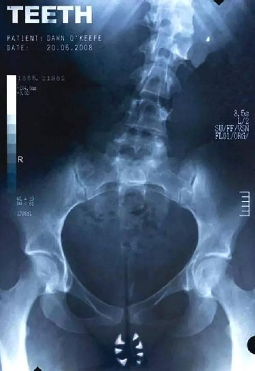 电视高中毕业证属于